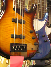 Bass Guitars